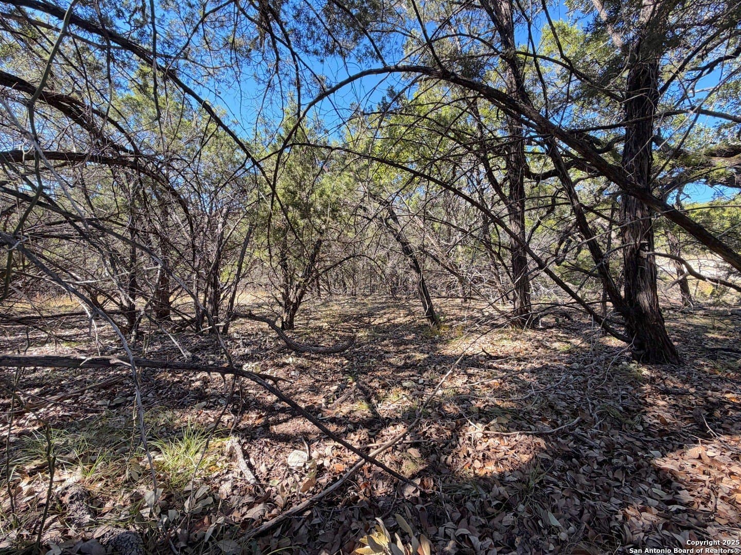 2.68 acres in Comal County - photo 16