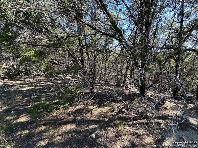 2.68 acres in Comal County - photo 22