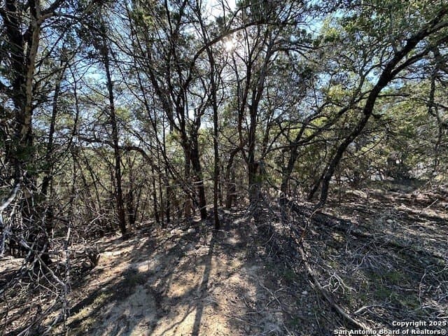 2.68 acres in Comal County - photo 21