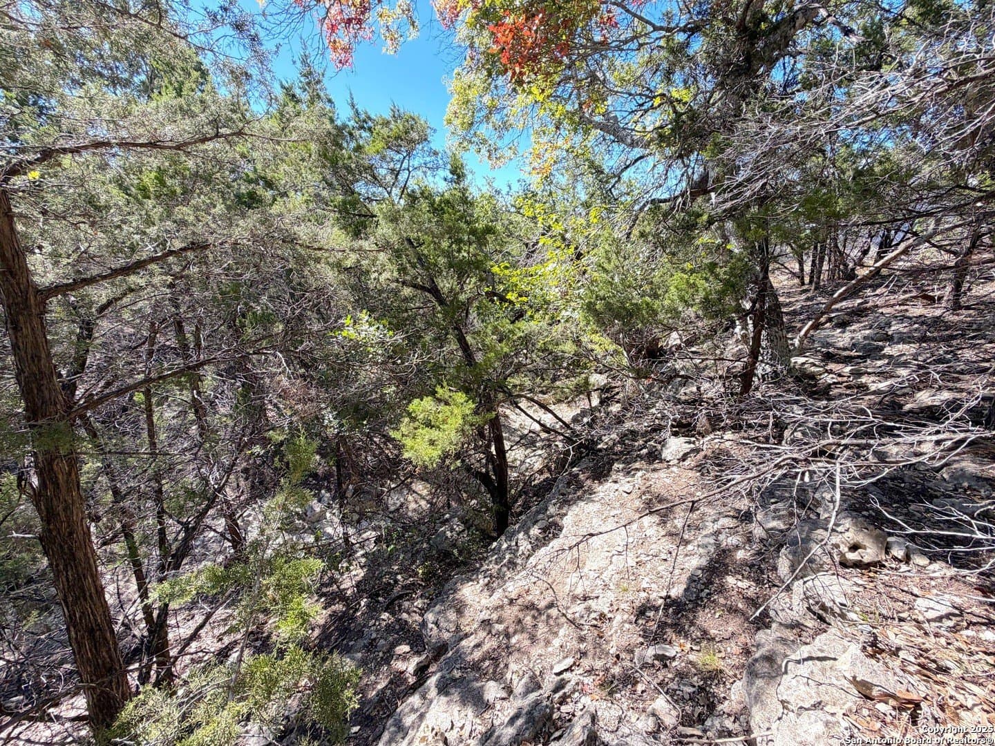 2.68 acres in Comal County - photo 15