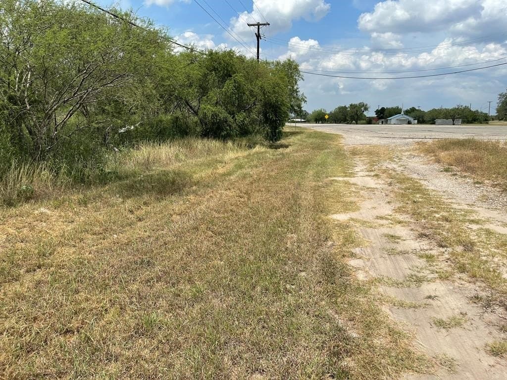 28.9 acres in Bee County - photo 6