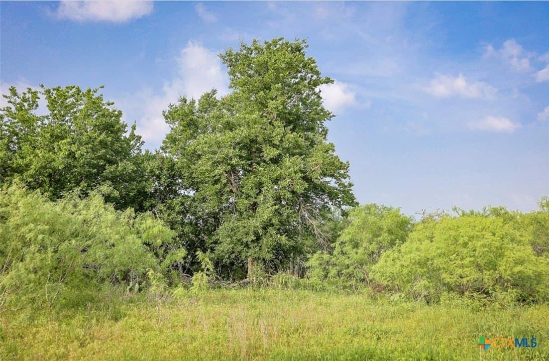 0.84 acres in Milam County - photo 4
