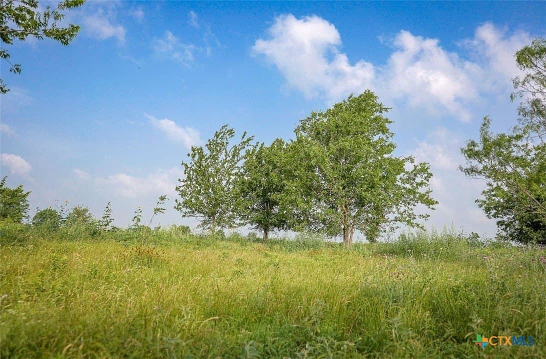 0.84 acres in Milam County - photo 5