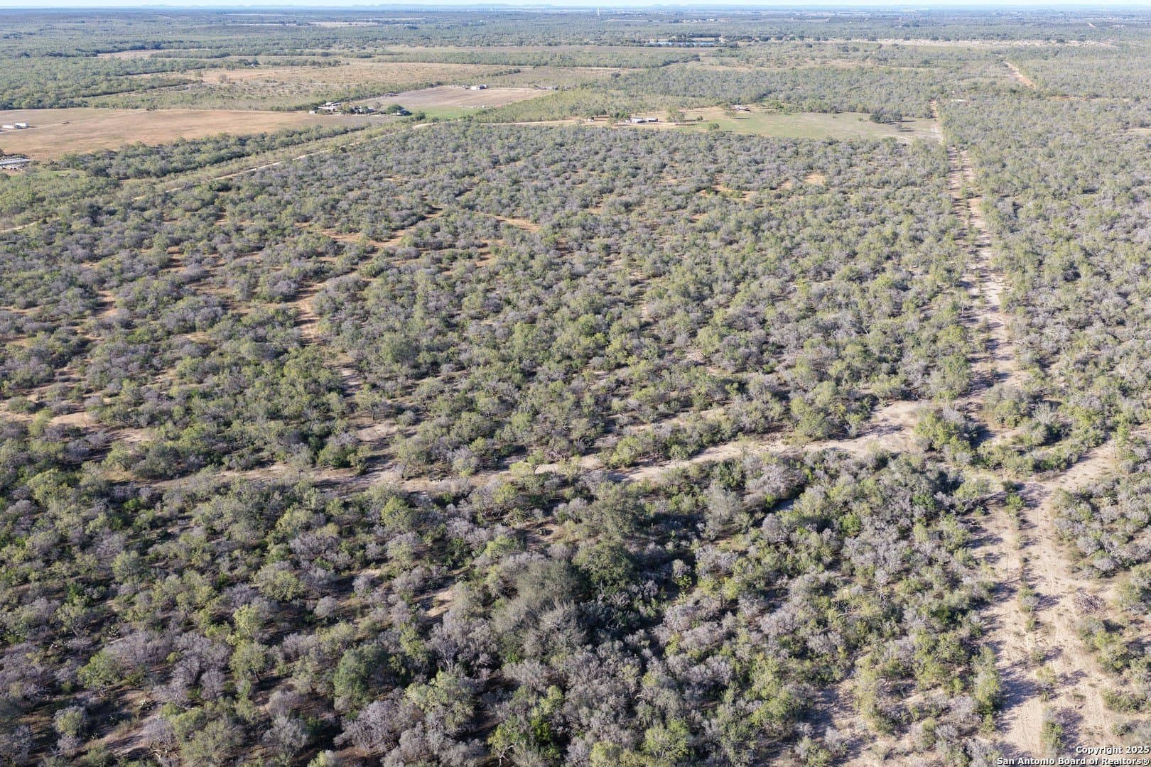 96.67 acres in Medina County - photo 8