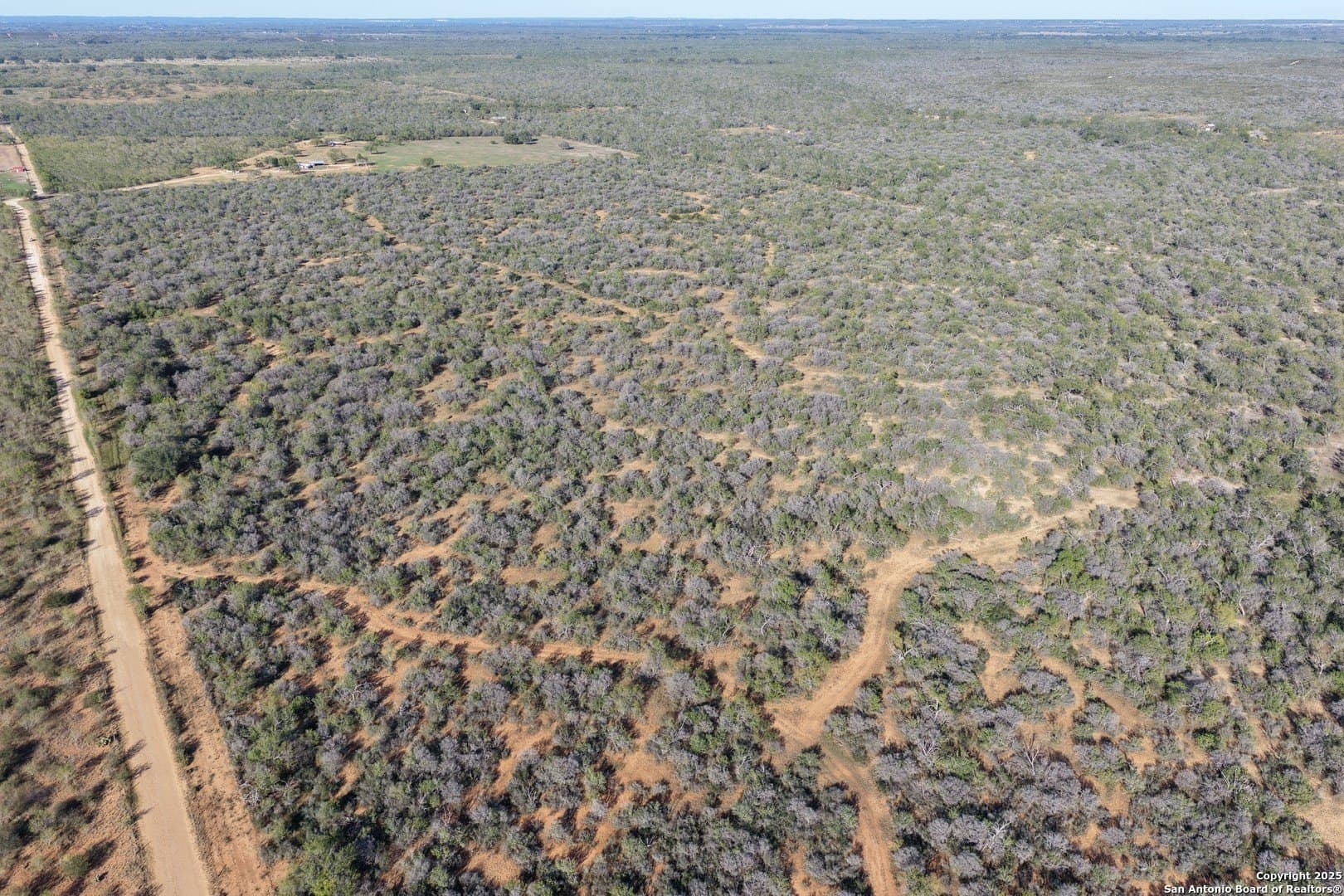 96.67 acres in Medina County - photo 6