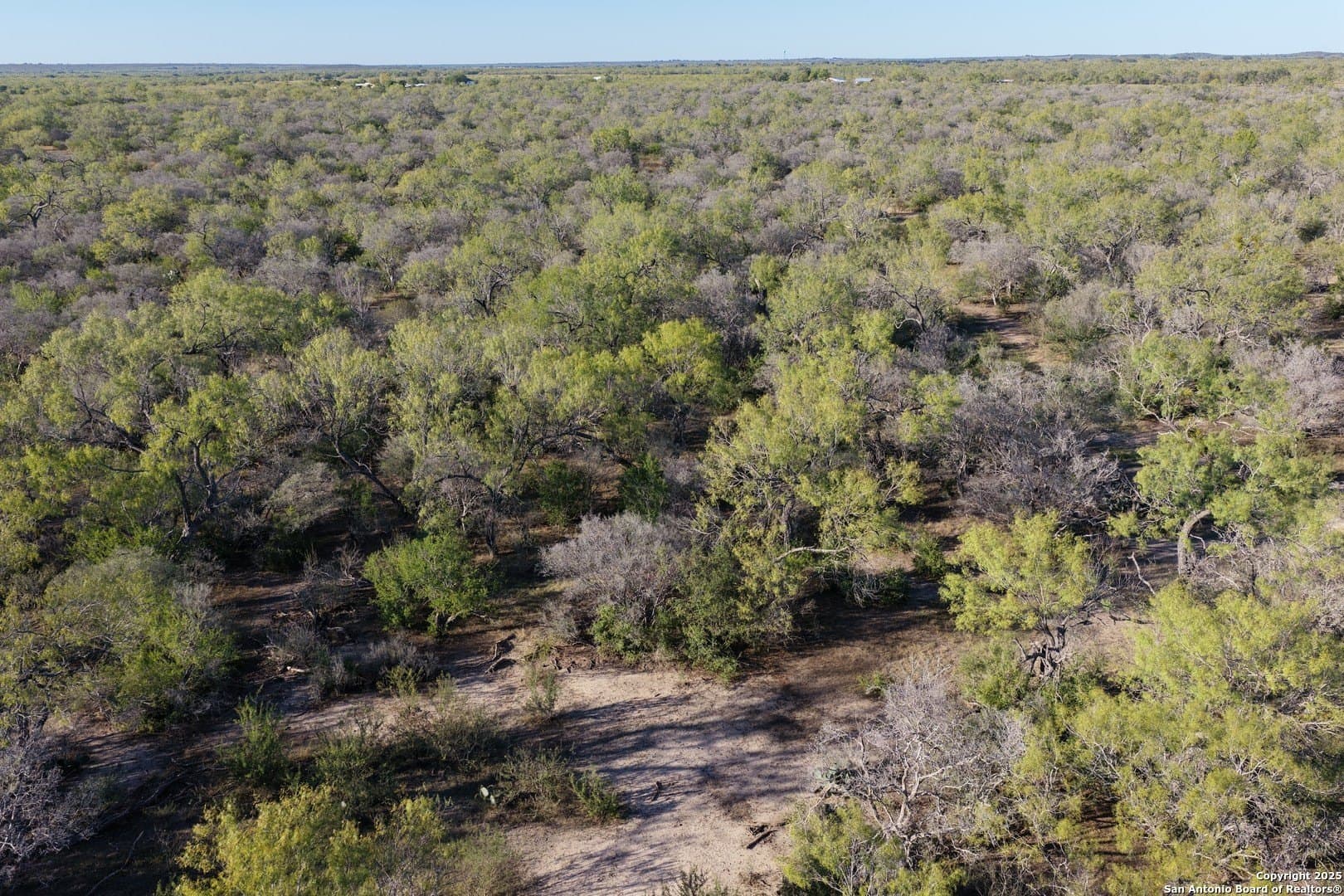 96.67 acres in Medina County - photo 15