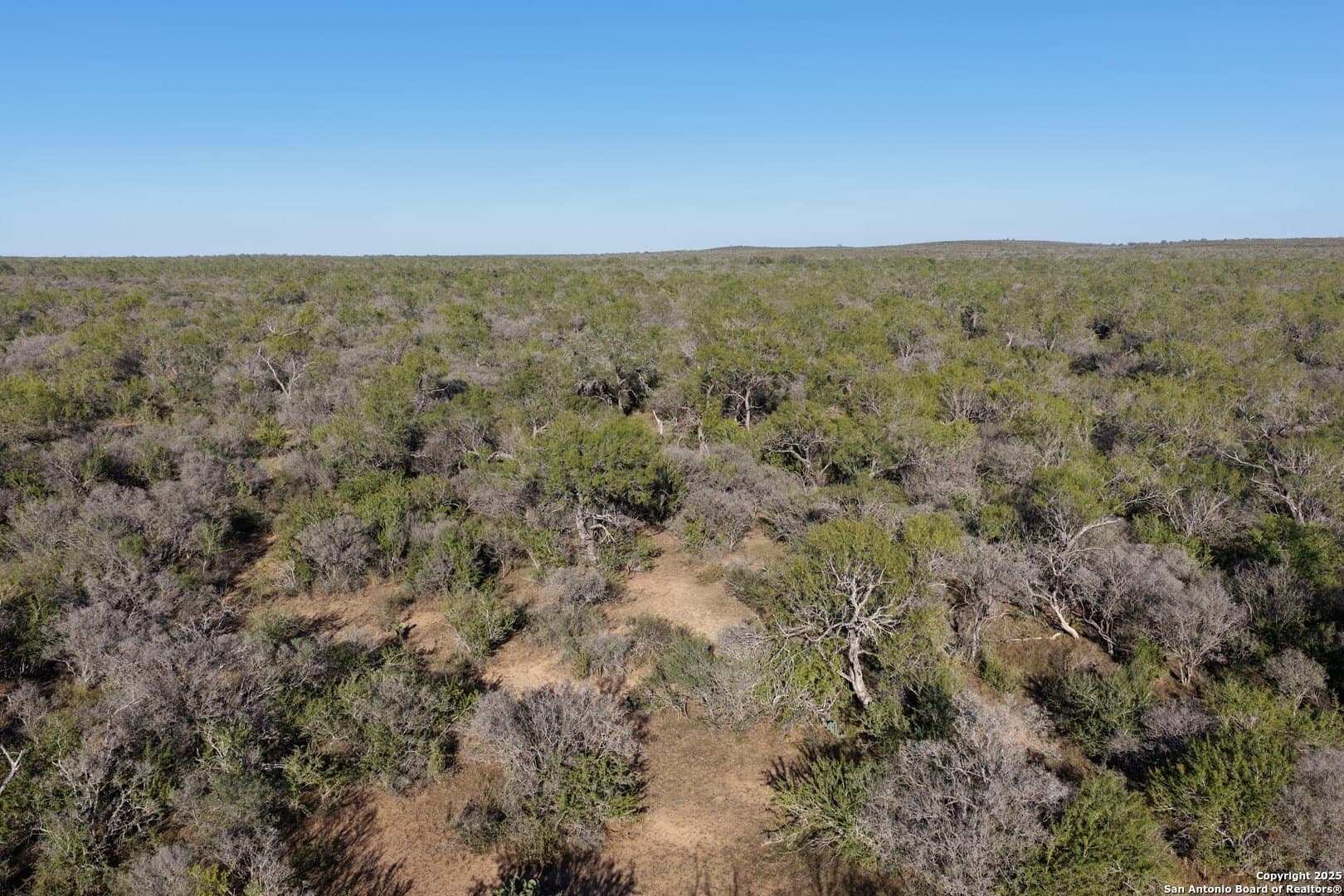 96.67 acres in Medina County - photo 14