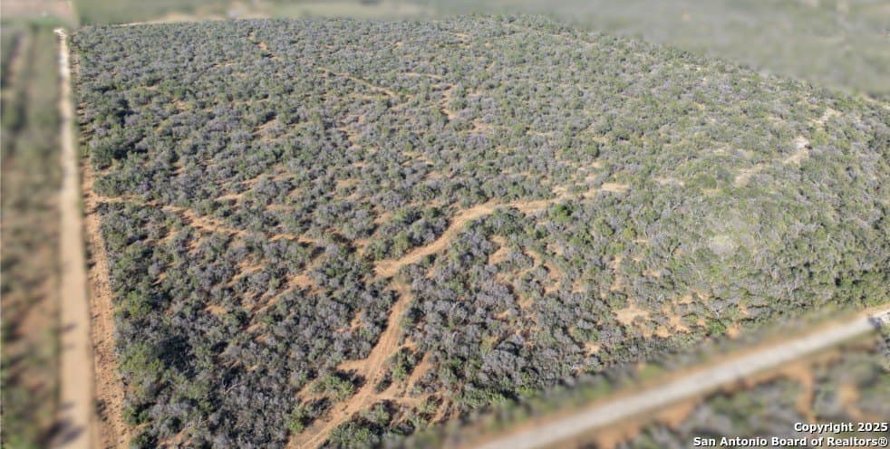 96.67 acres in Medina County - photo 3