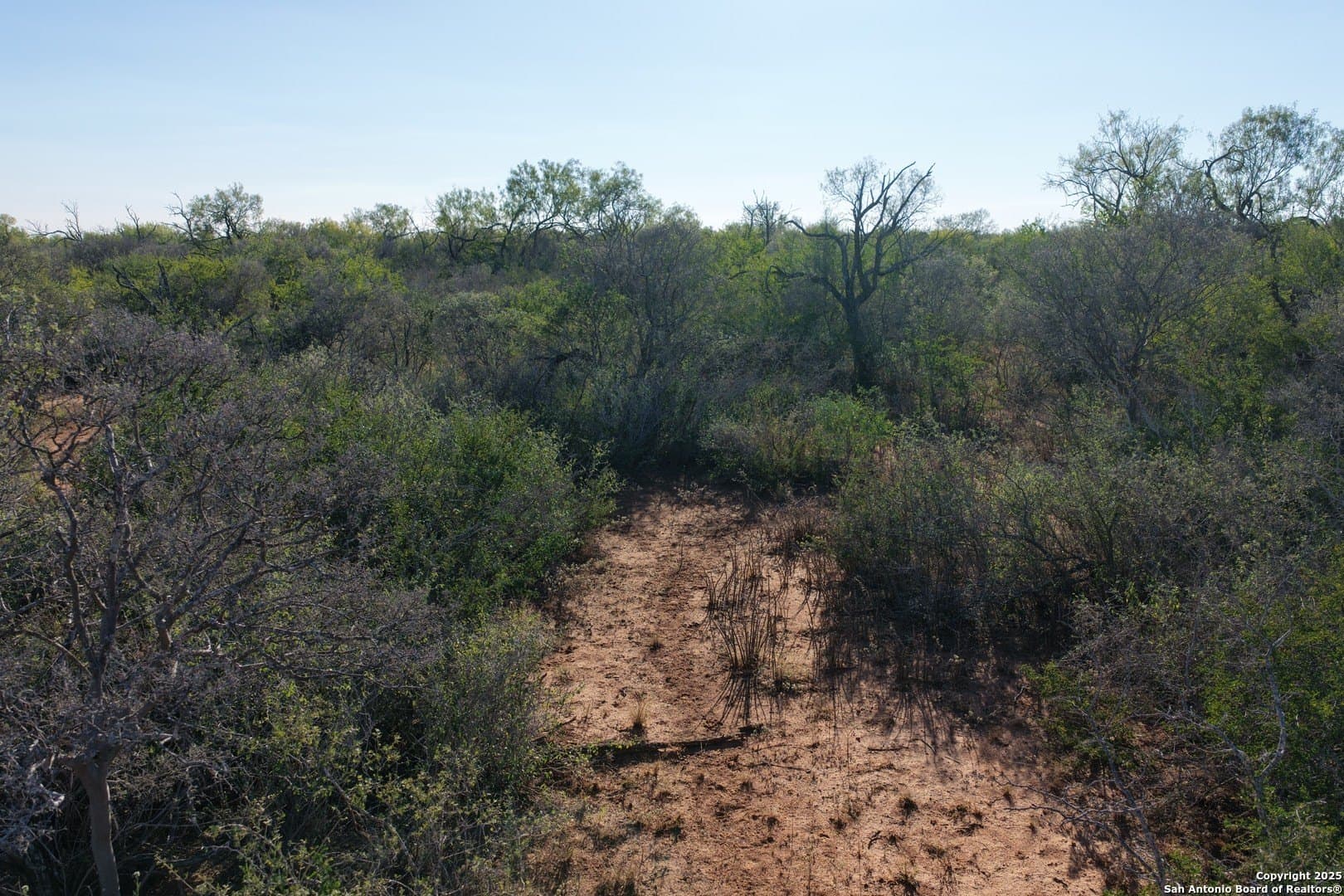 96.67 acres in Medina County - photo 10