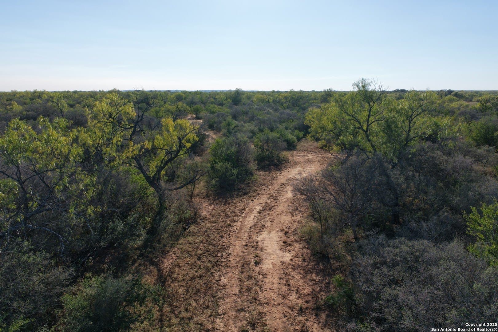 96.67 acres in Medina County - photo 13