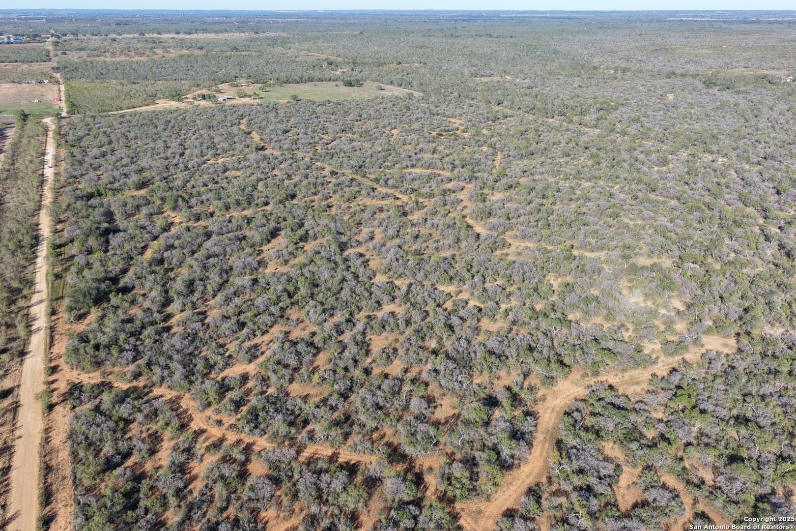 96.67 acres in Medina County - photo 4