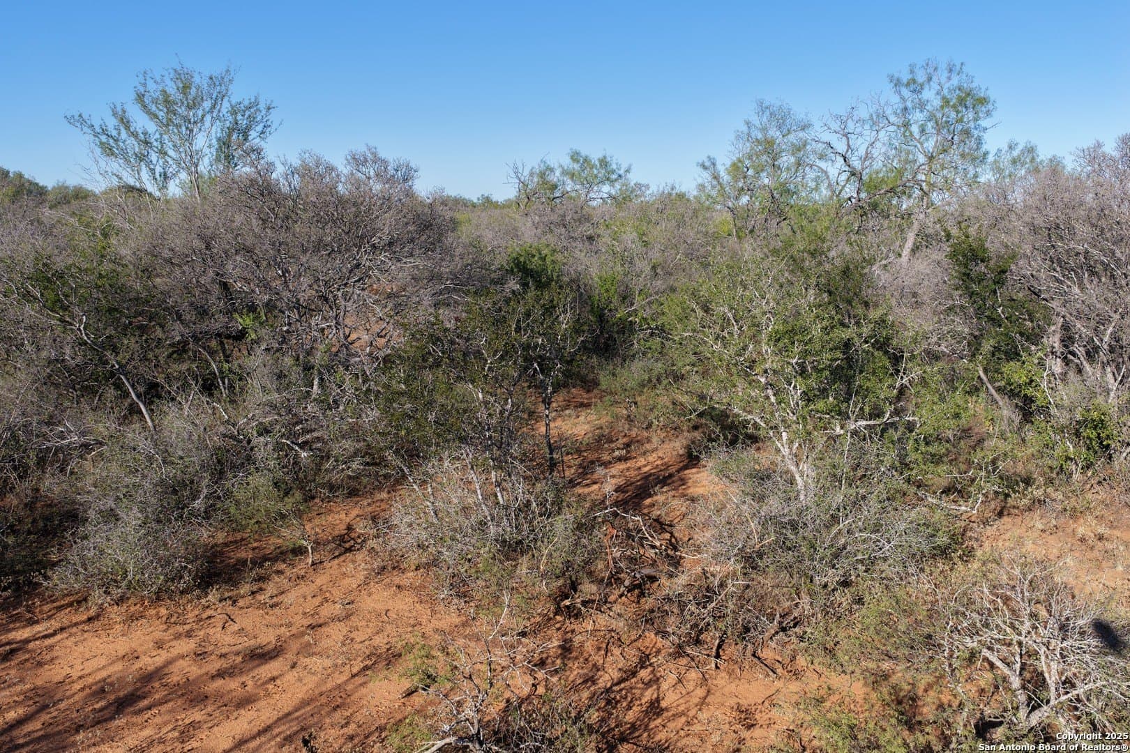 96.67 acres in Medina County - photo 11