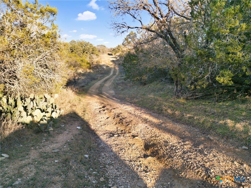 88 acres in San Saba County - photo 2