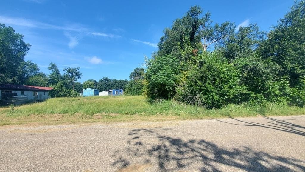 0.11 acres in Henderson County - photo 8