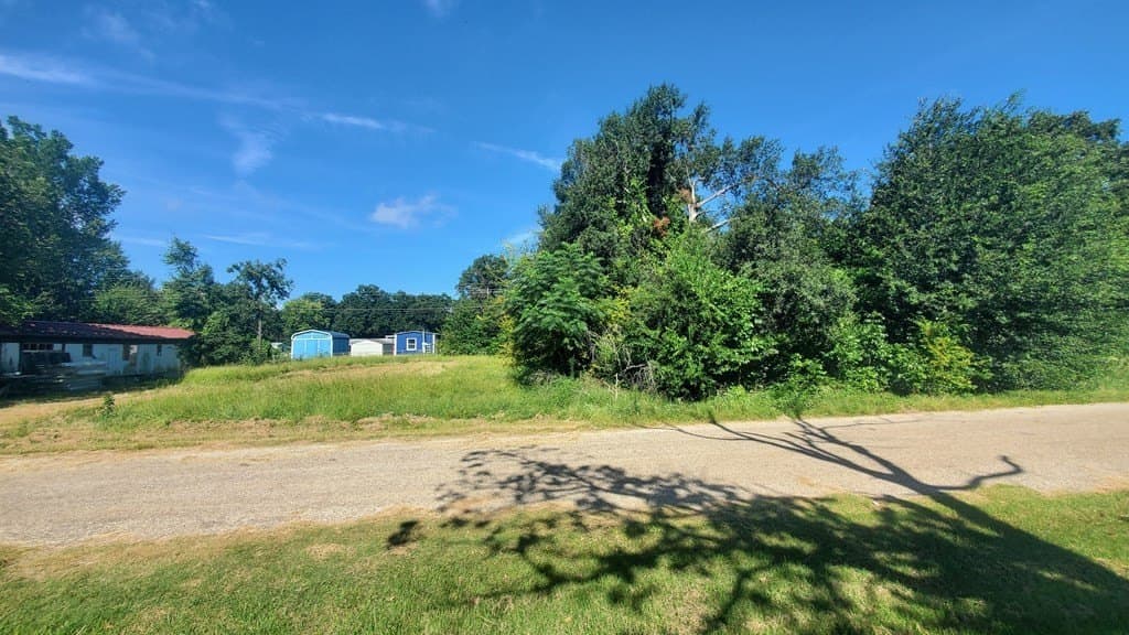 0.11 acres in Henderson County - photo 7