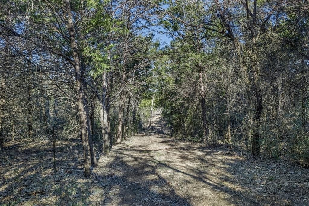 26 acres in Limestone County - photo 9