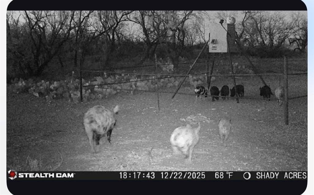 94.73 acres in Runnels County - photo 27