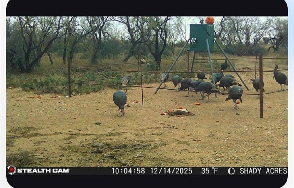 94.73 acres in Runnels County - photo 26