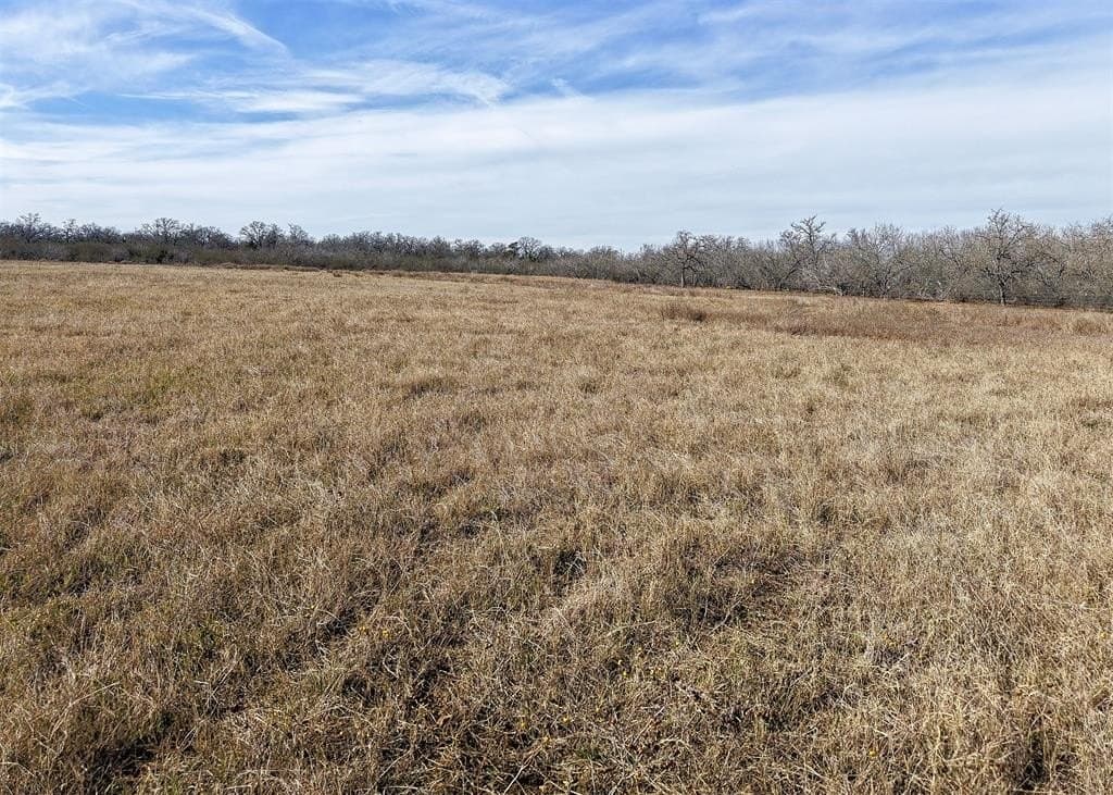 6.65 acres in Gonzales County - photo 6