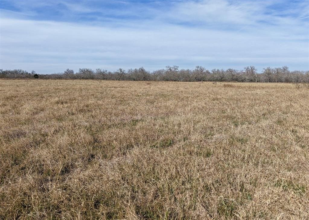 6.65 acres in Gonzales County - photo 8