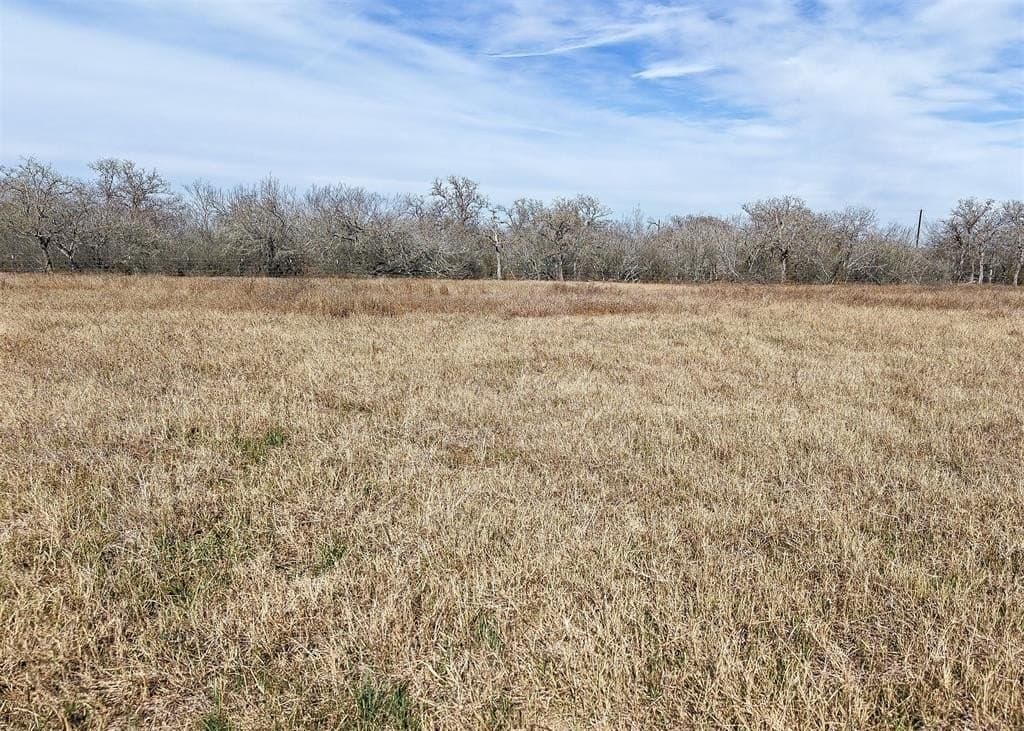 6.65 acres in Gonzales County - photo 3