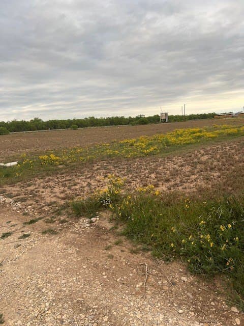 10 acres in Upton County - photo 2