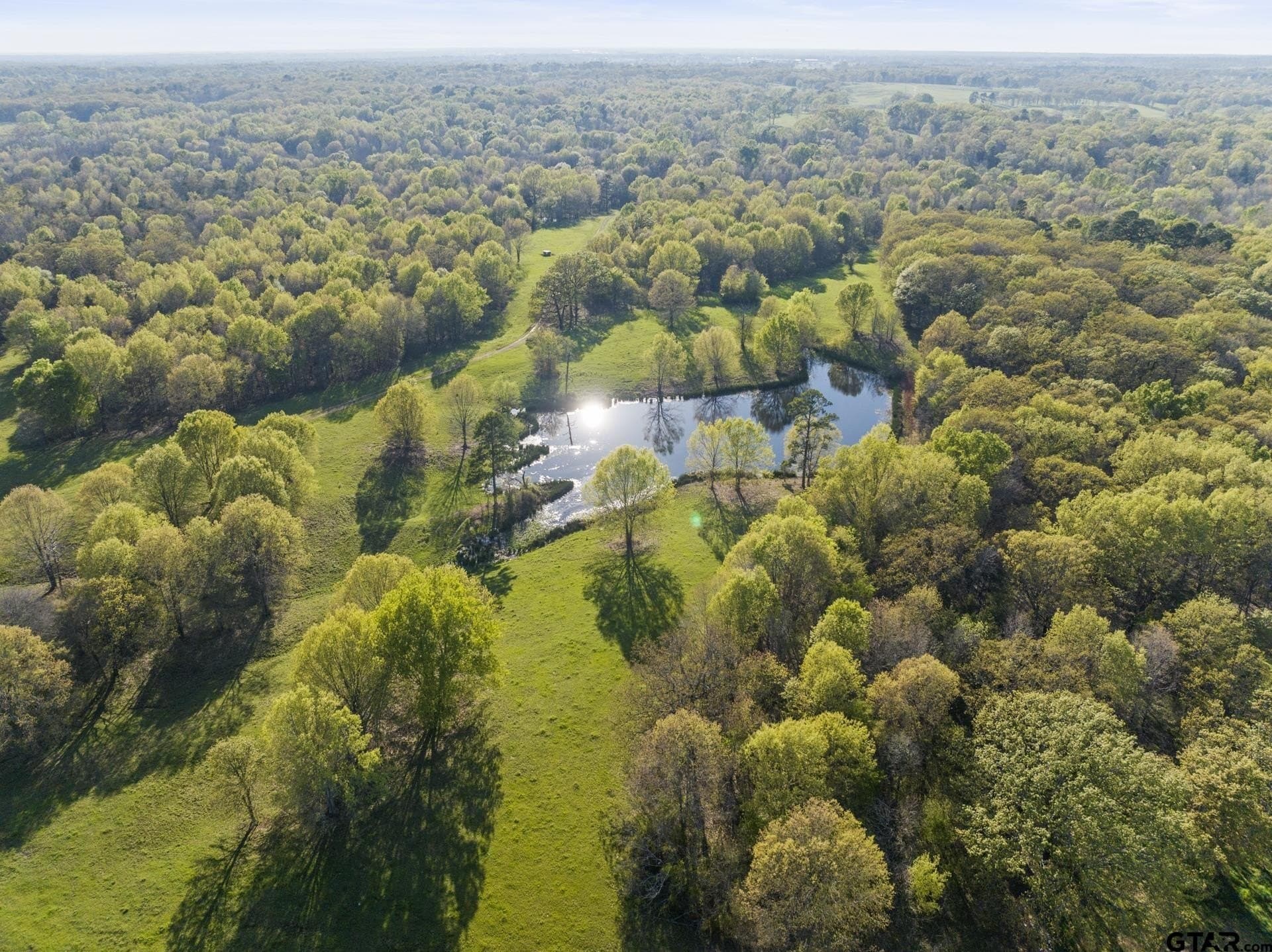 1,178 acres in Titus County - photo 40