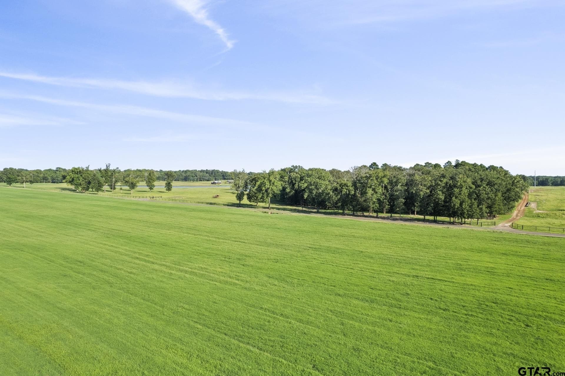 1,178 acres in Titus County - photo 39