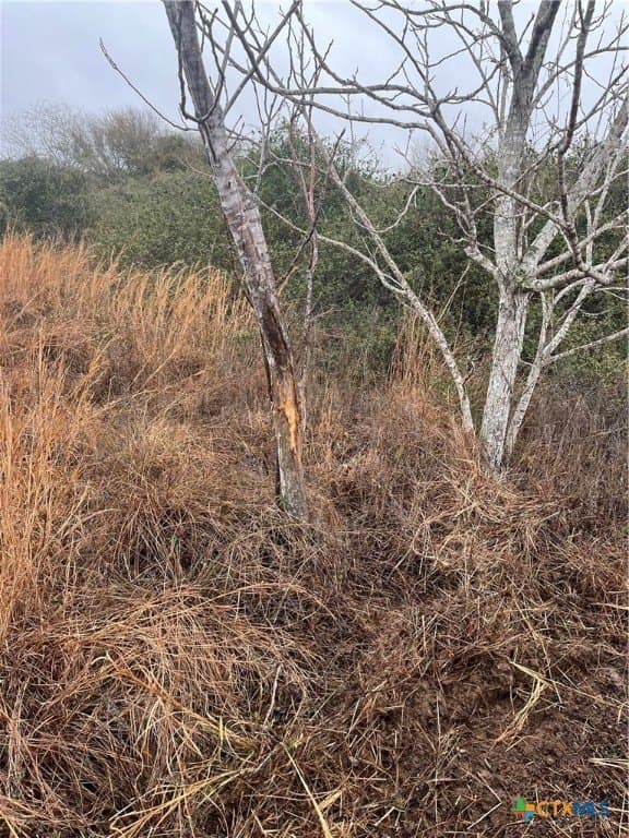 10 acres in Victoria County - photo 2