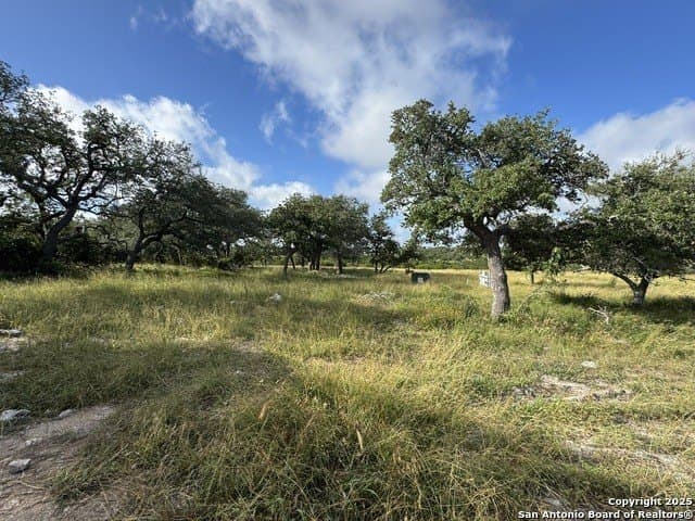 12.77 acres in Blanco County - photo 30