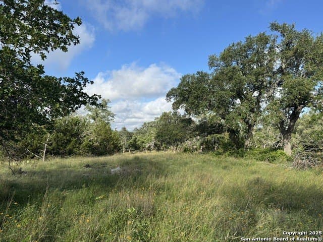 12.77 acres in Blanco County - photo 3