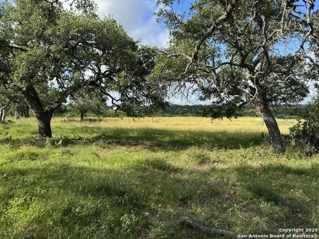 12.77 acres in Blanco County - photo 4