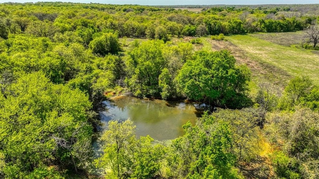 406 acres in Hill County - photo 27
