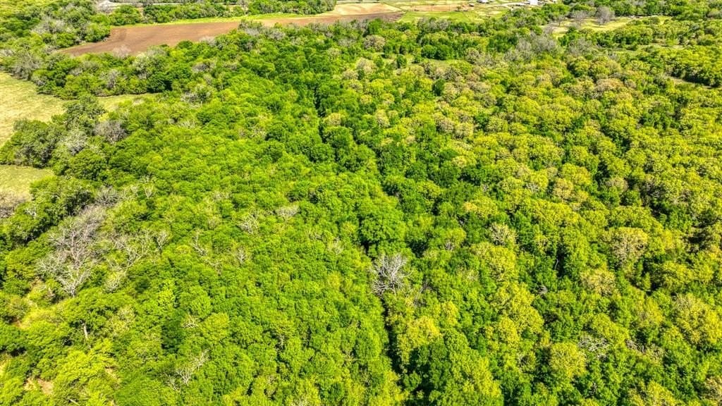 406 acres in Hill County - photo 11