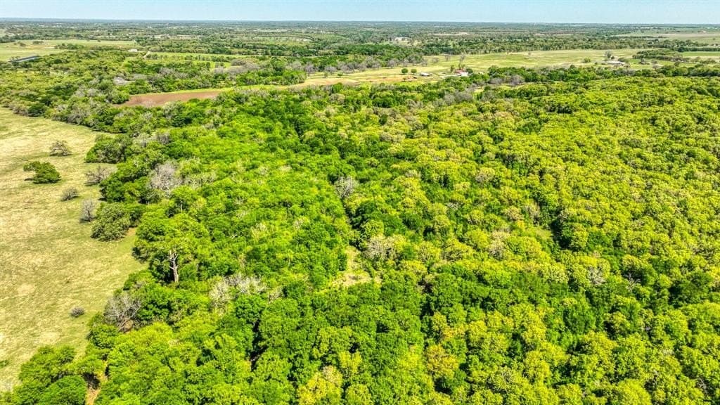 406 acres in Hill County - photo 10