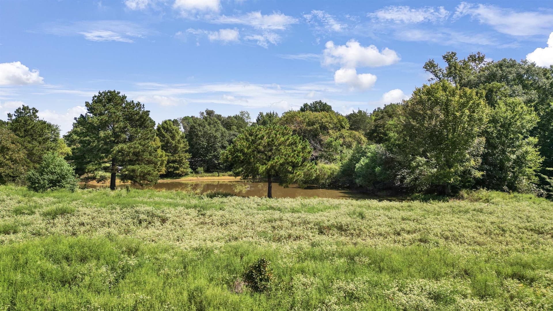 18.18 acres in Gregg County - photo 8