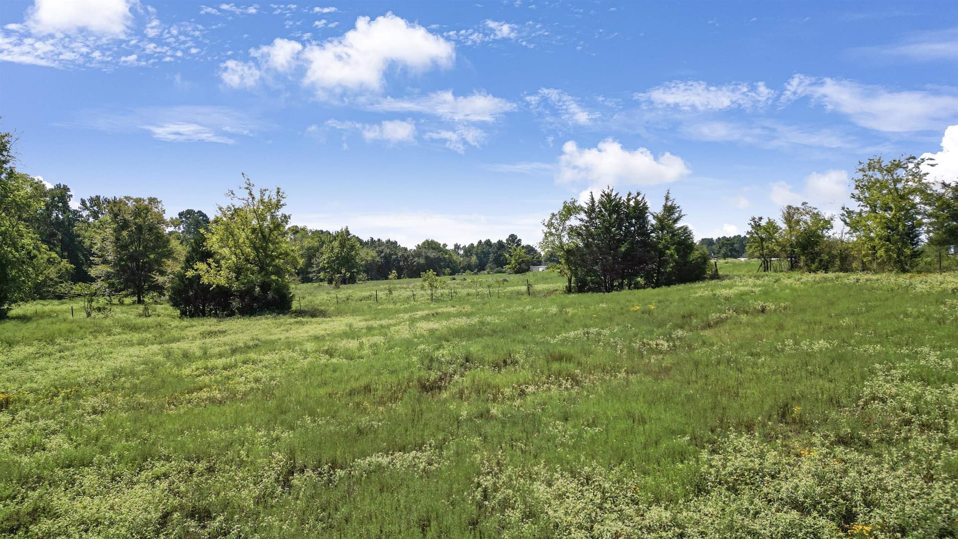 18.18 acres in Gregg County - photo 7