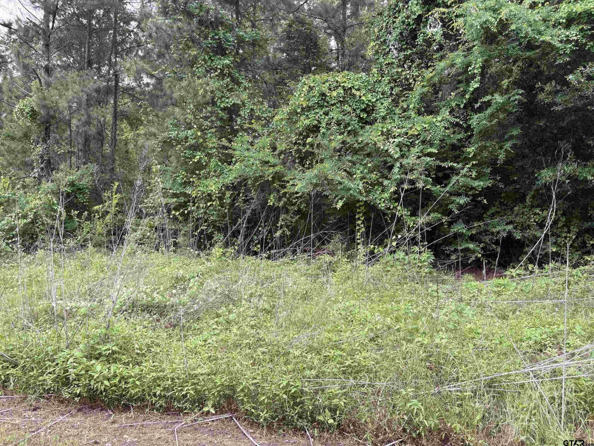 0 acres in Smith County - photo 5