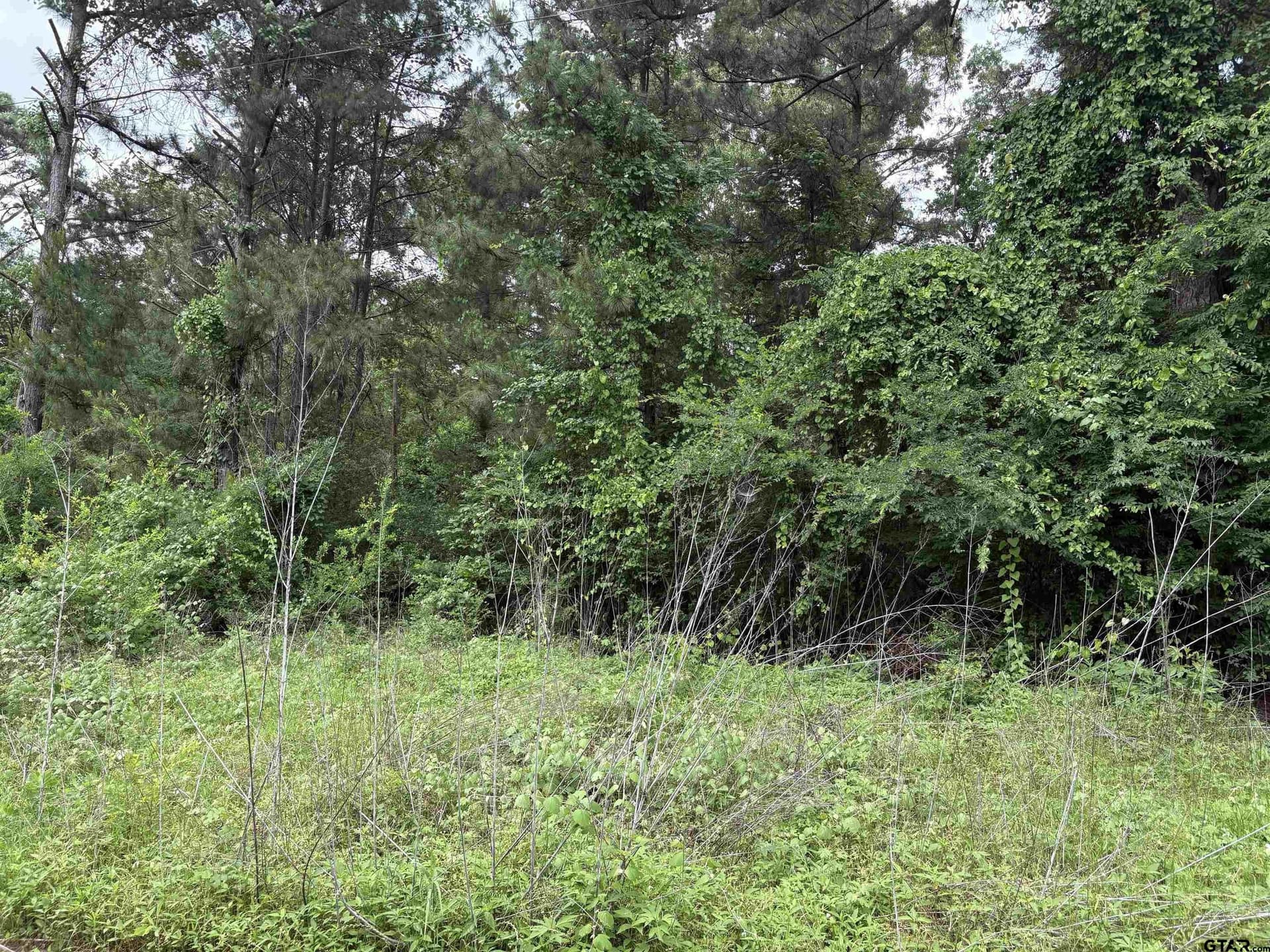 0 acres in Smith County - photo 4