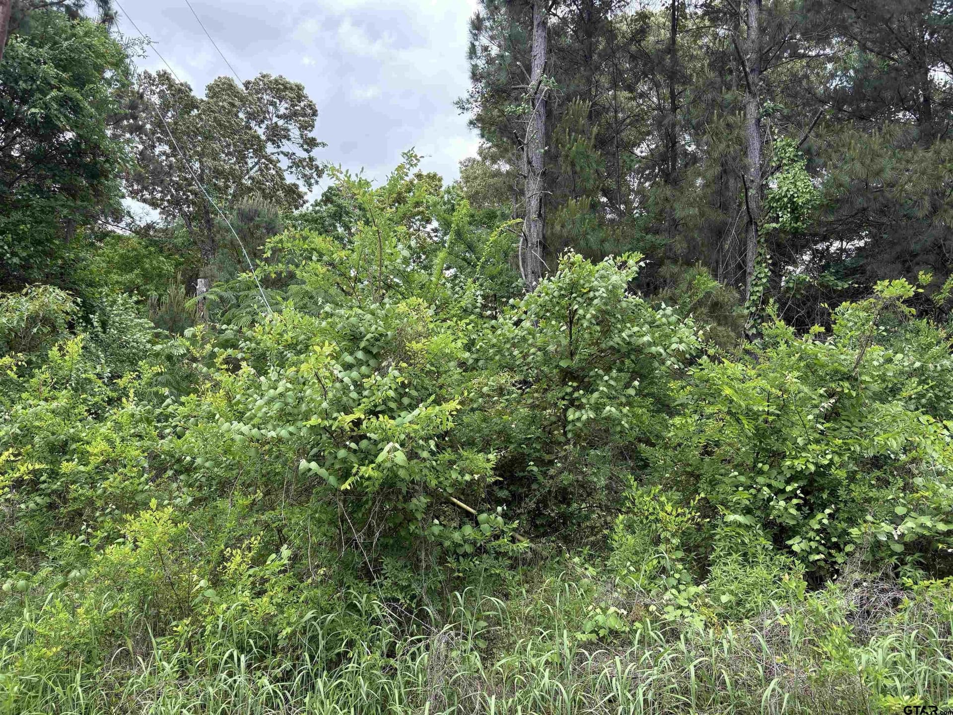 0 acres in Smith County - photo 3