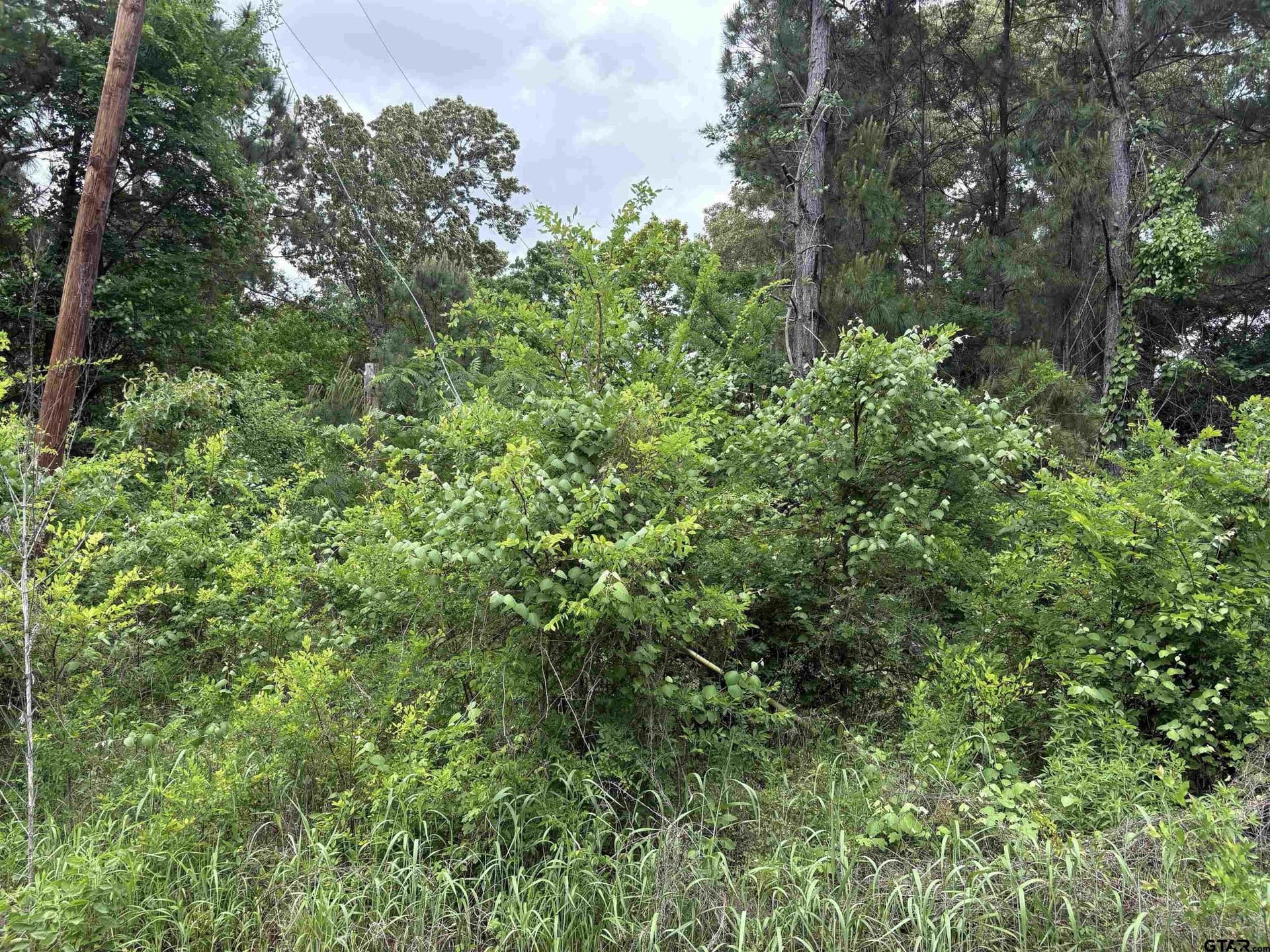 0 acres in Smith County - photo 2