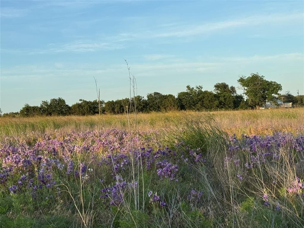 15 acres in Bosque County - photo 4