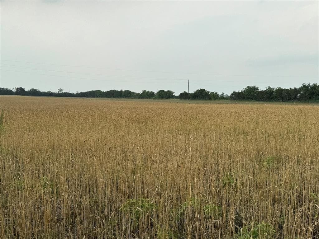 15 acres in Bosque County - photo 7