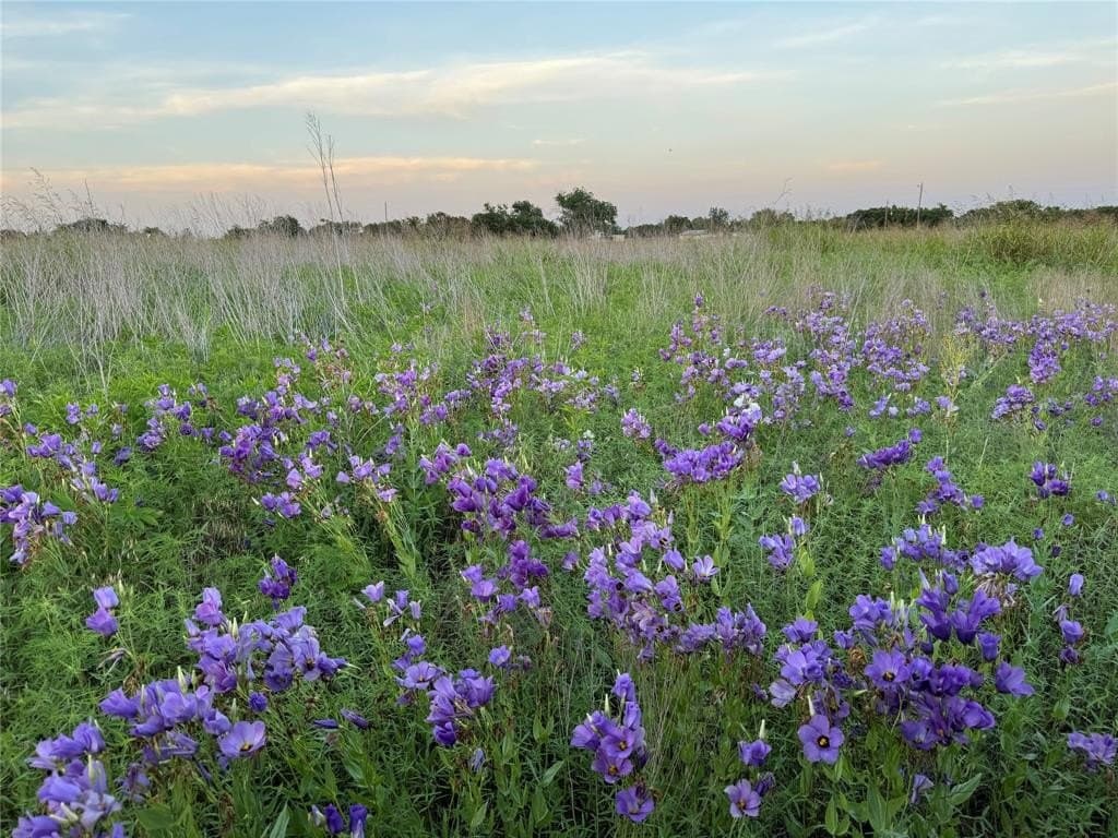 15 acres in Bosque County - photo 21