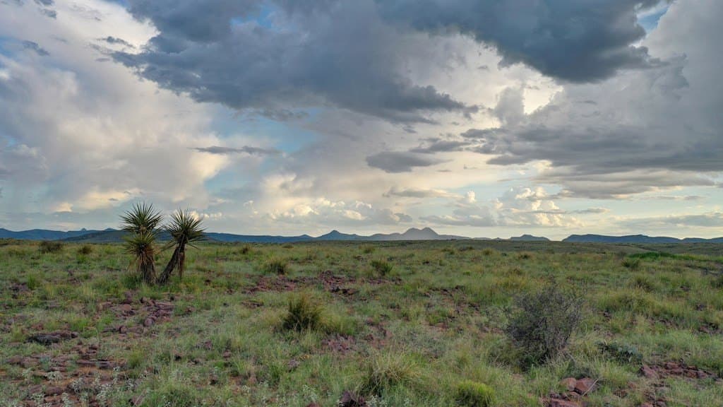 100 acres in Brewster County - photo 19
