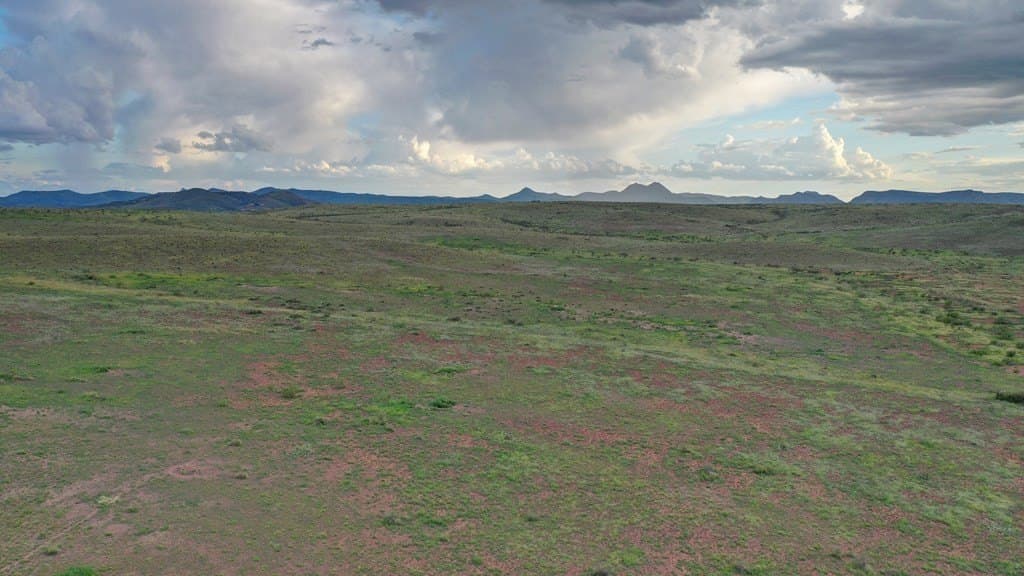 100 acres in Brewster County - photo 16