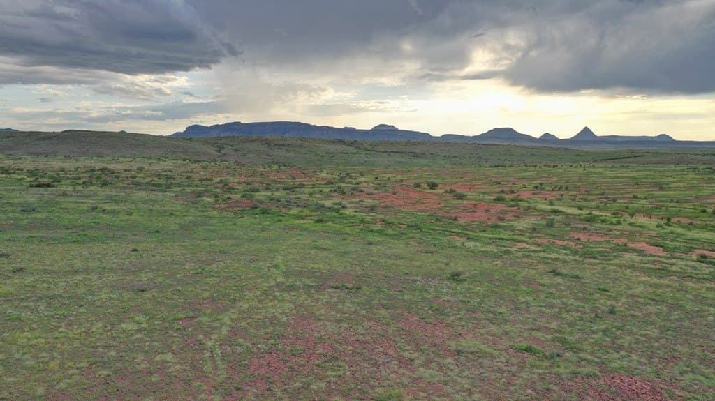 100 acres in Brewster County - photo 15