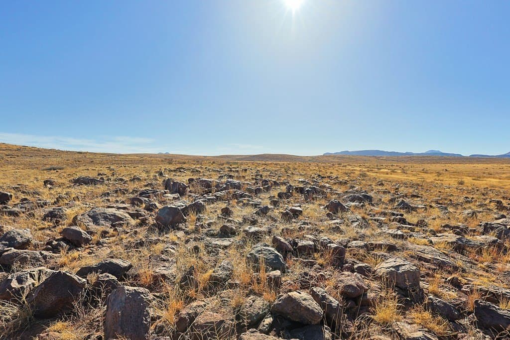 100 acres in Brewster County - photo 29