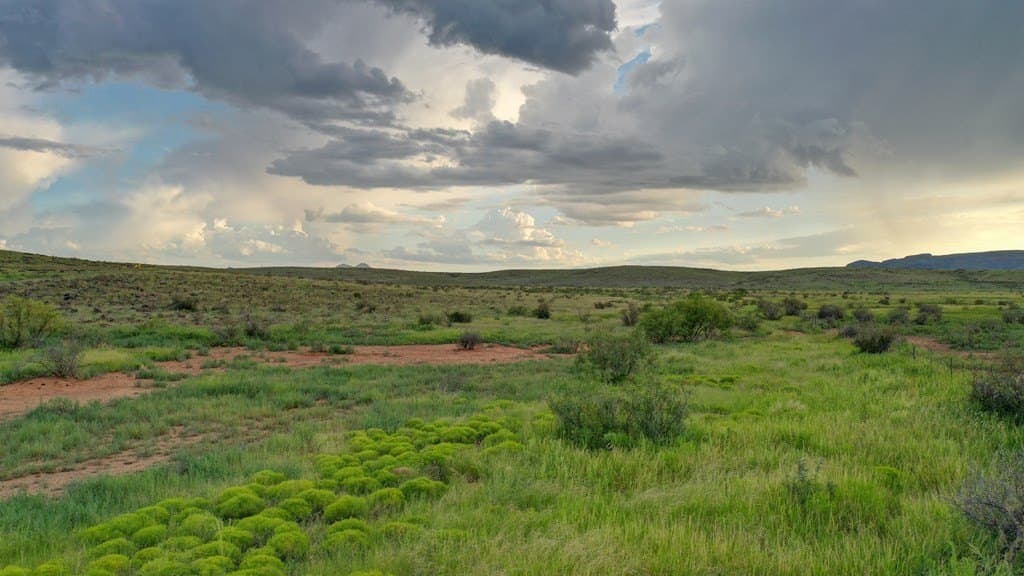 100 acres in Brewster County - photo 21