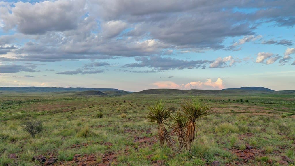 100 acres in Brewster County - photo 20